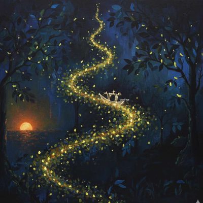 জোনাকির  আলো